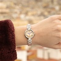 Orologio Festina Donna in Acciaio F20784/3 - F20784/3